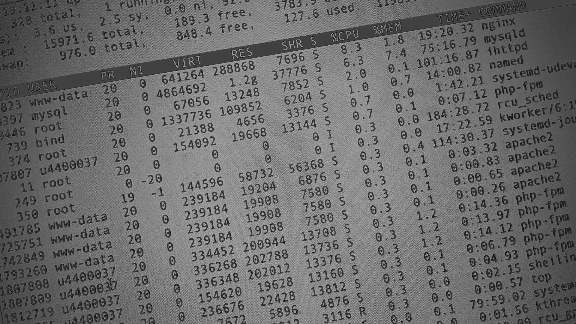 Настройка сервера в Пскове