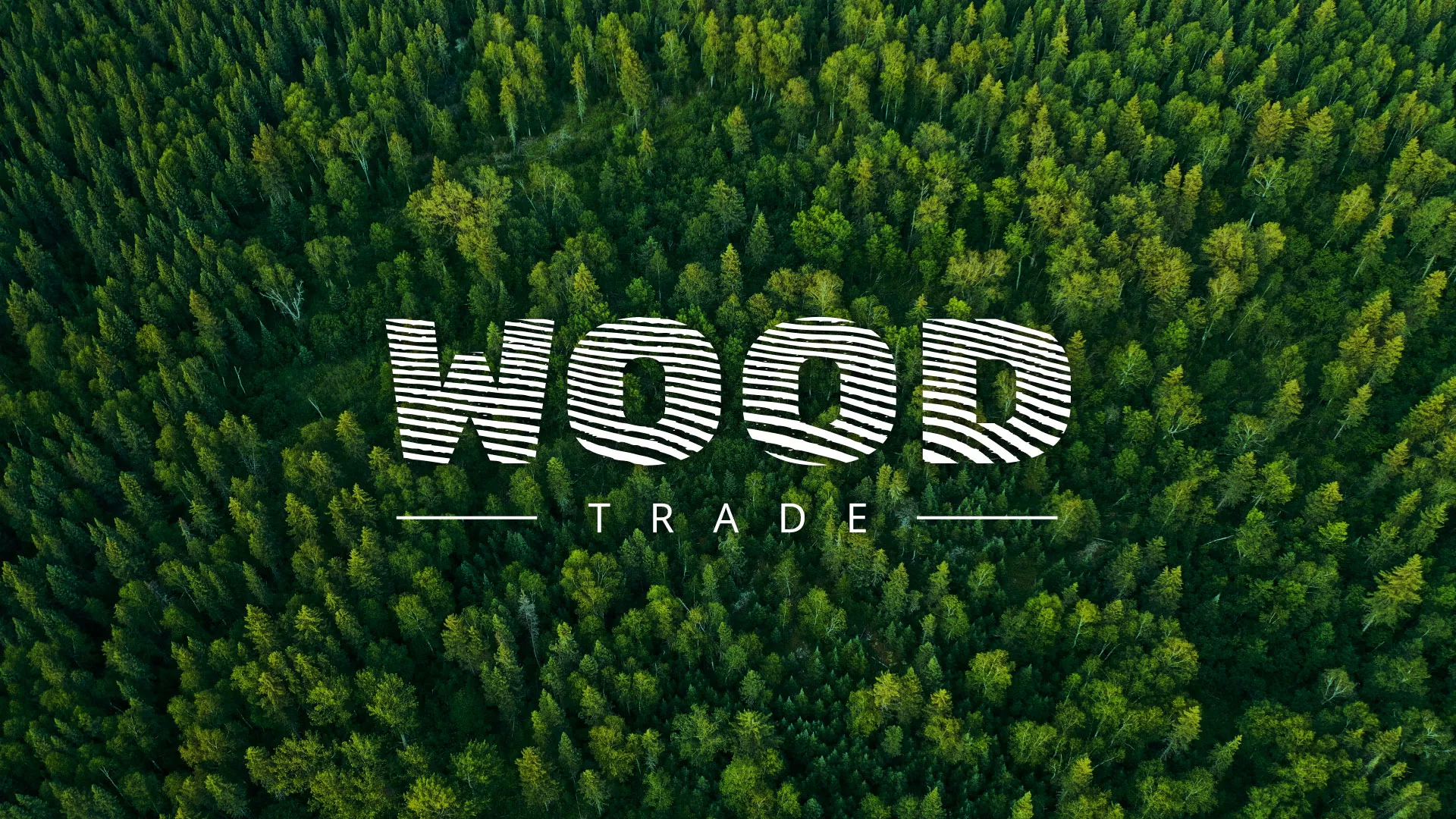 Разработка интернет-магазина компании «Wood Trade» в Пскове