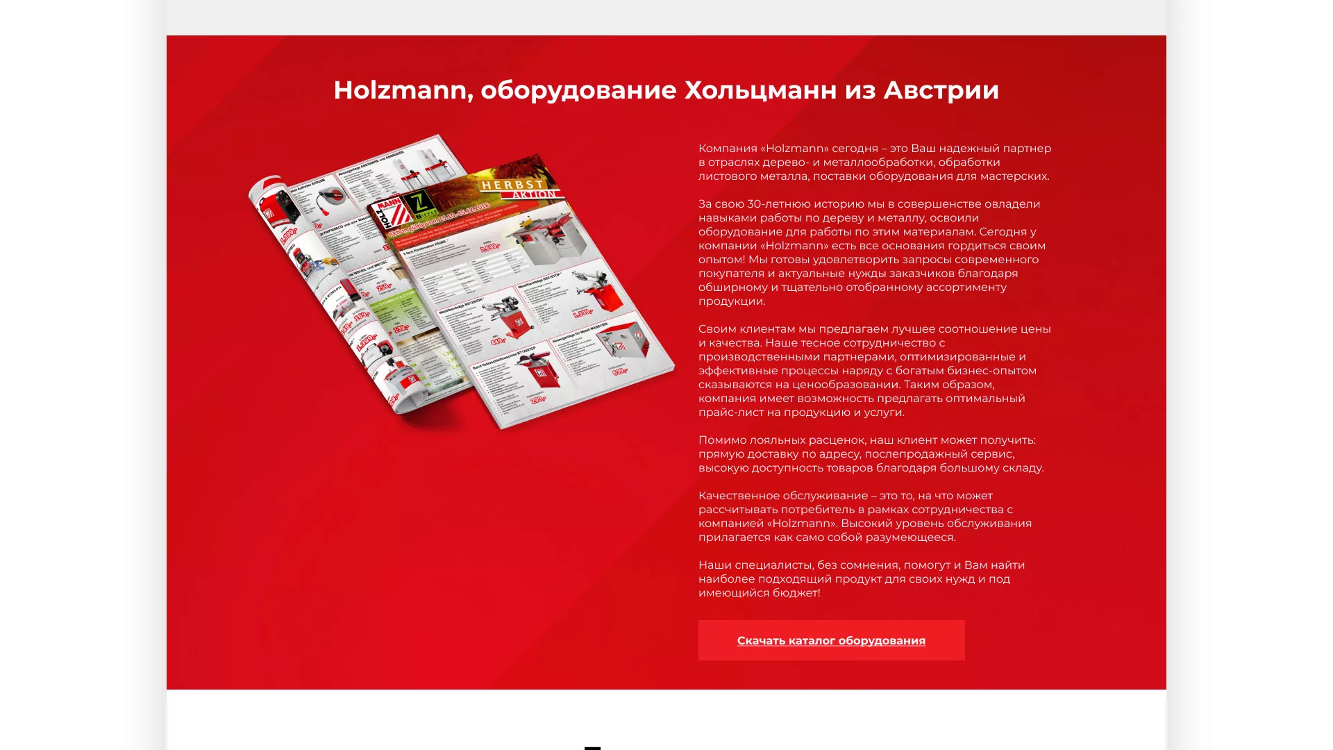 Создание сайта компании «HOLZMANN Maschinen GmbH» в Пскове