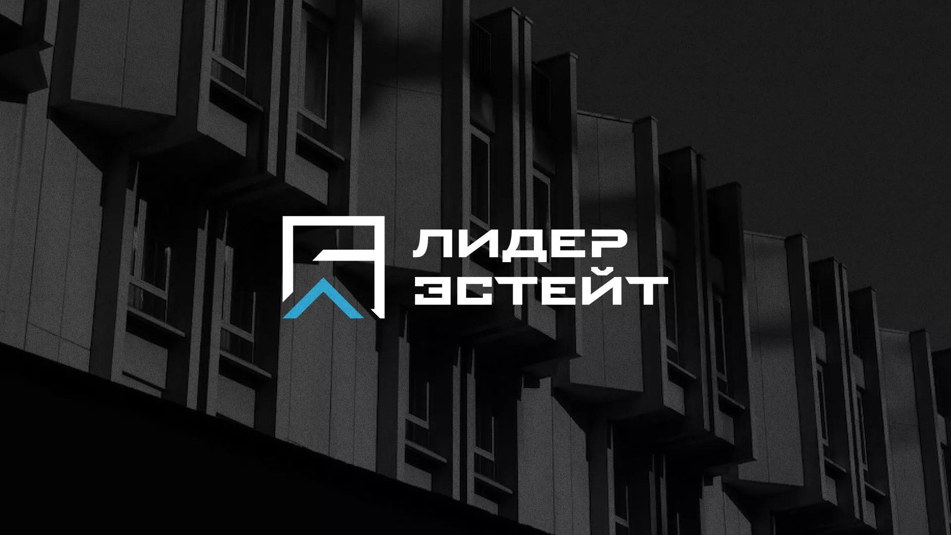 Разработка логотипа агентства недвижимости «Лидер Эстейт» в Пскове